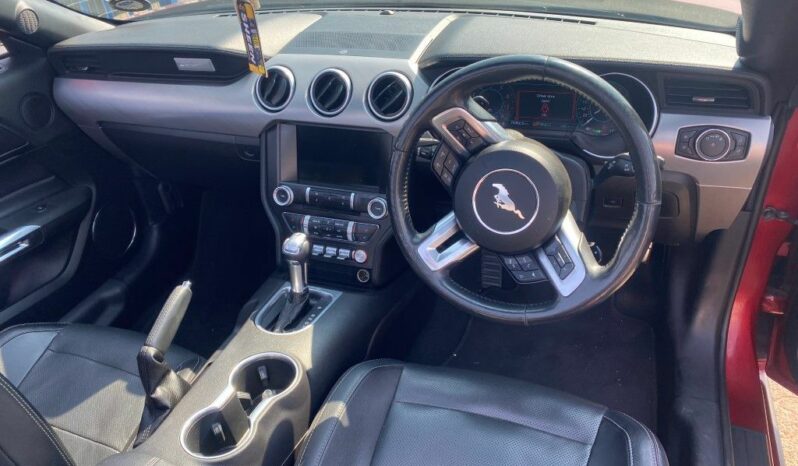 
								2019 FORD MUSTANG full									