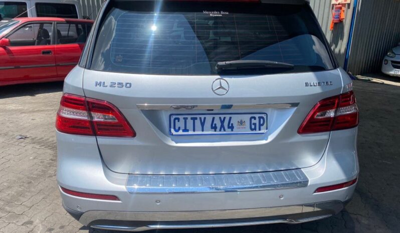 
								2013 MERCEDES BENZ ML250 full									