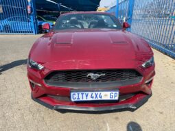 2019 FORD MUSTANG