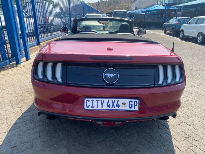 
								2019 FORD MUSTANG full									