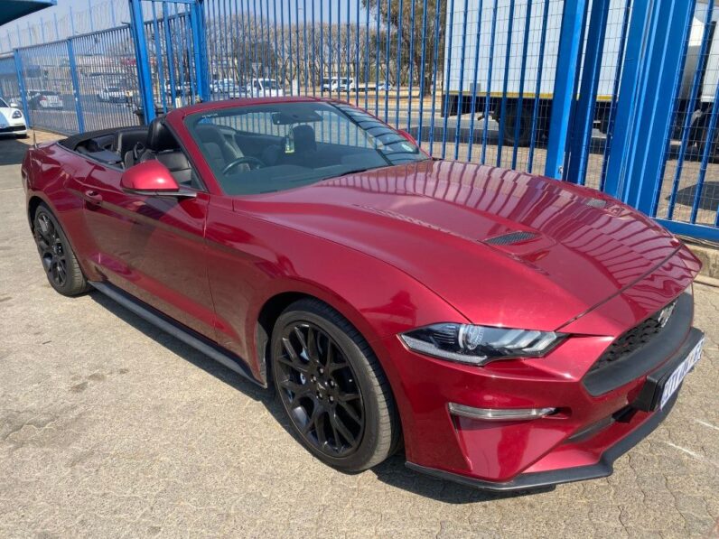 
								2019 FORD MUSTANG full									