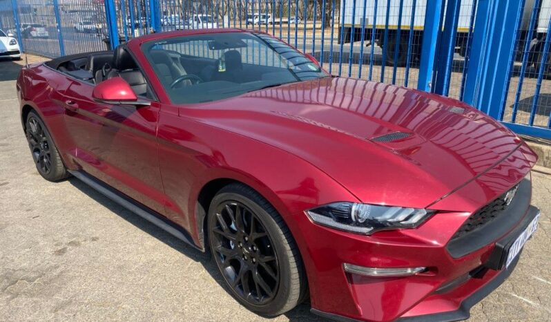 
								2019 FORD MUSTANG full									