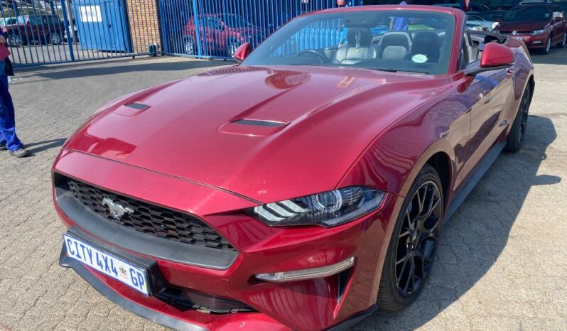 
								2019 FORD MUSTANG full									