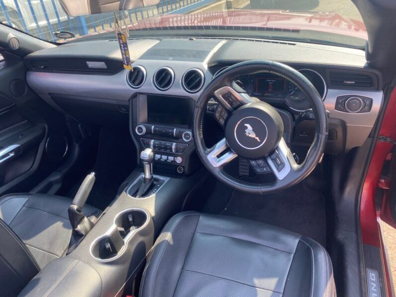 
								2019 FORD MUSTANG full									